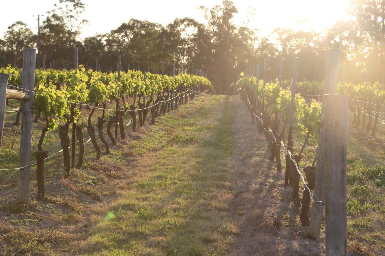 Blueberry Hill Vineyard Stay Rothbury 외부 사진
