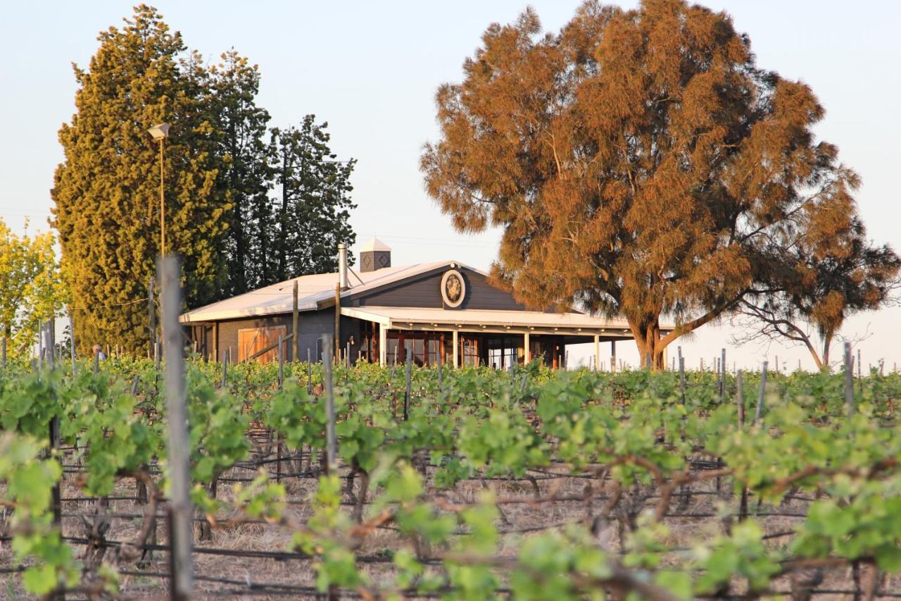Blueberry Hill Vineyard Stay Rothbury 외부 사진