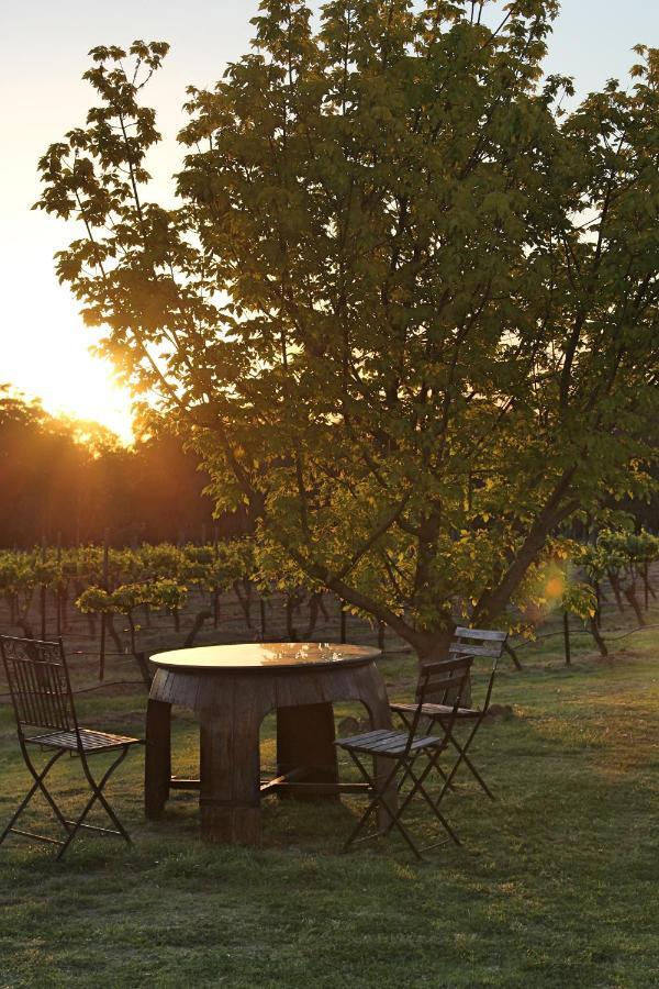 Blueberry Hill Vineyard Stay Rothbury 외부 사진